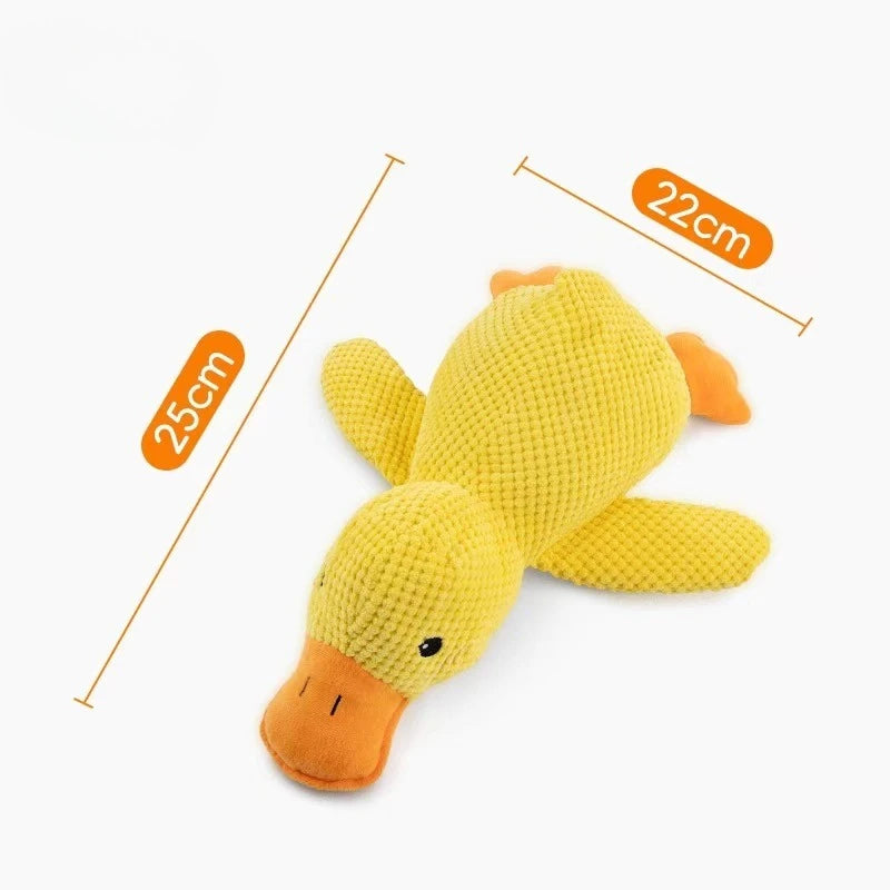 Cat & Dog Plush Squeaky Interactive Toy