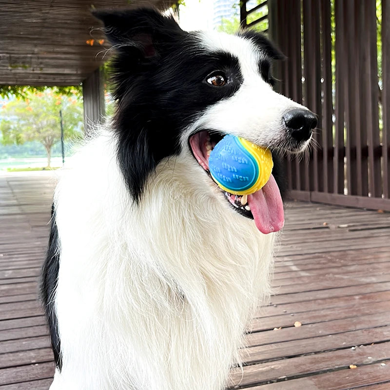 Squeaky Dog Ball Toy for Teeth Cleaning