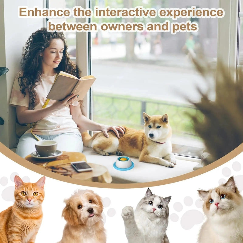 https://cdn.dropmagic.ai/medias/ce5d419f-1253-49f3-ae02-7767723ff42a.webp